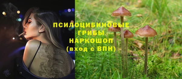 марки nbome Беломорск