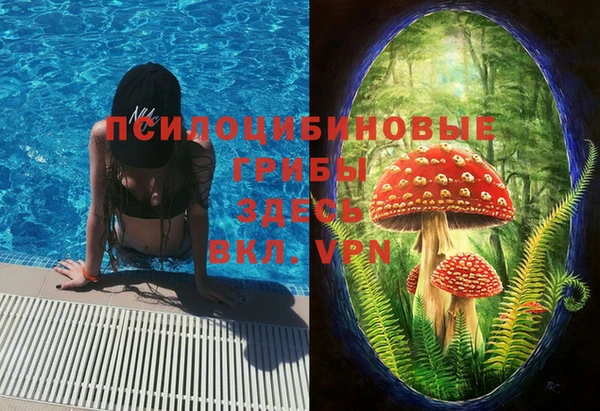 скорость mdpv Белокуриха